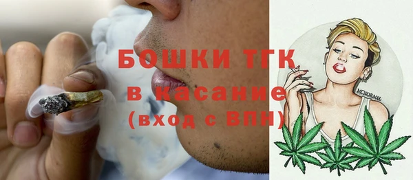 эйфоретик Аркадак