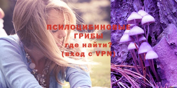 эйфоретик Аркадак
