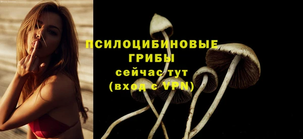 эйфоретик Аркадак
