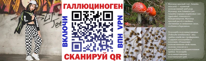 Галлюциногенные грибы Cubensis мега сайт Тихвин